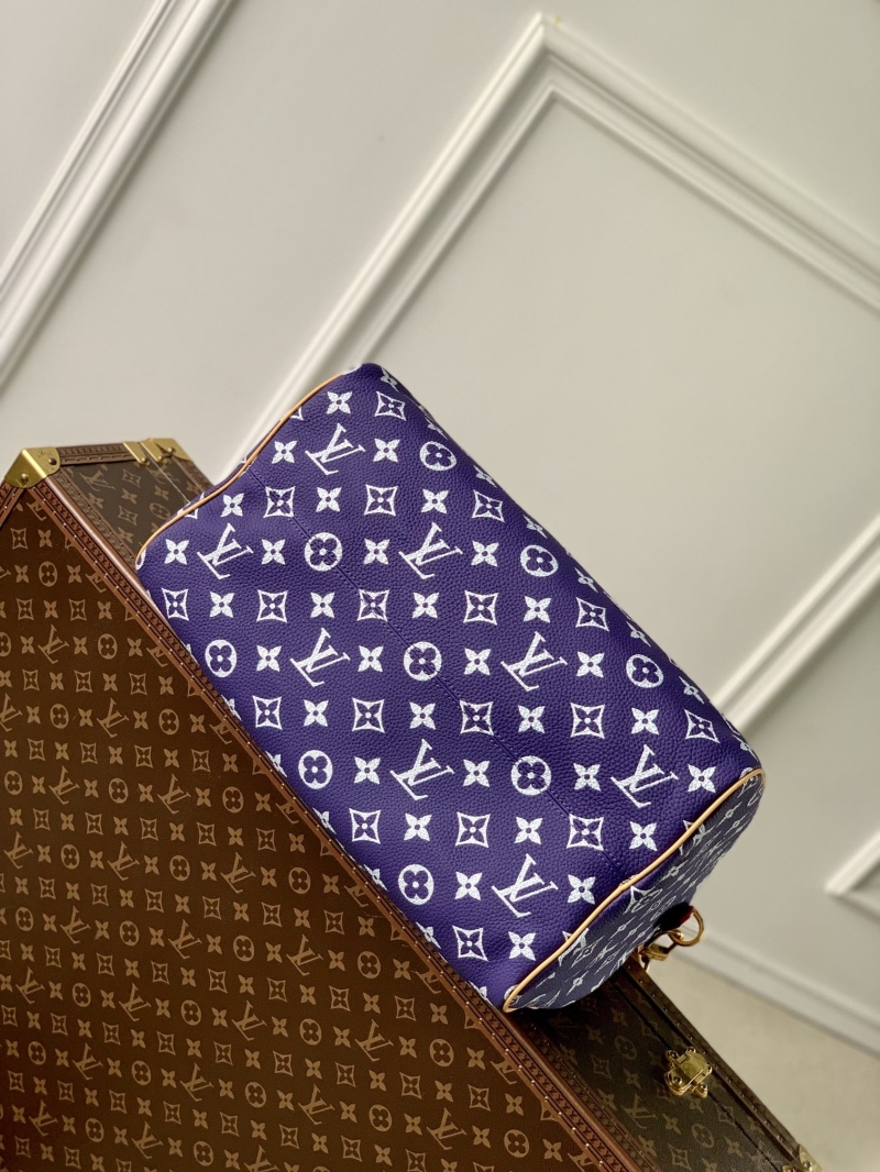 LV Travel Bags